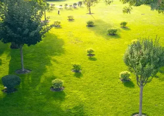 Central Green Area